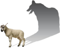 Wolf in Sheeps Clothing