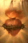 The Sacred Heart
