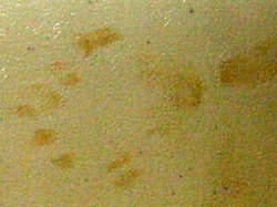 demonic print- right rear
