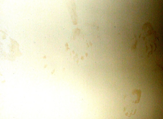 demonic prints- full porch view
