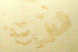 demonic print- left rear