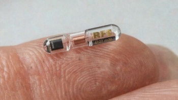 Implantable Chip
