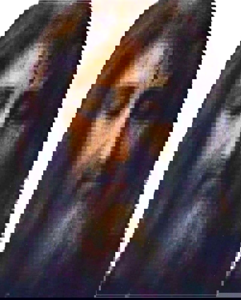 The Holy Face