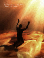 The Illumination